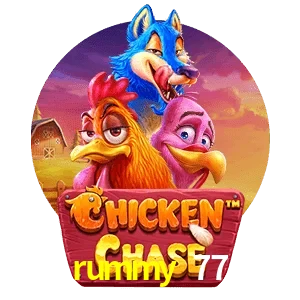 rummy 77 — Chicken Chase crash game | Play on Android APK & iPhone for real money | Hacksaw Gaming
