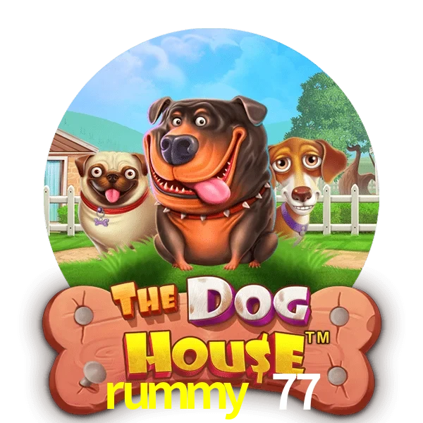 rummy 77 — The Dog House slot | Play on Android APK & iPhone for real money | Pragmatic Play